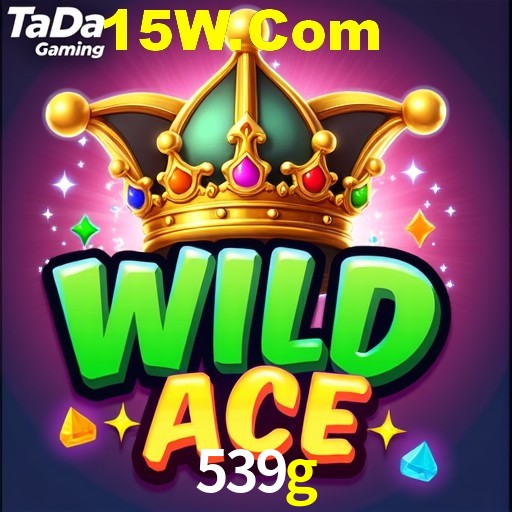 Interface Premium 539g