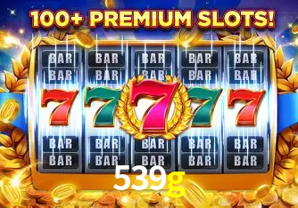 Experiência VIP 539g